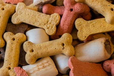 dog biscuit 3