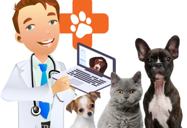 online-vet-conultation-india online-vet-conultation-india