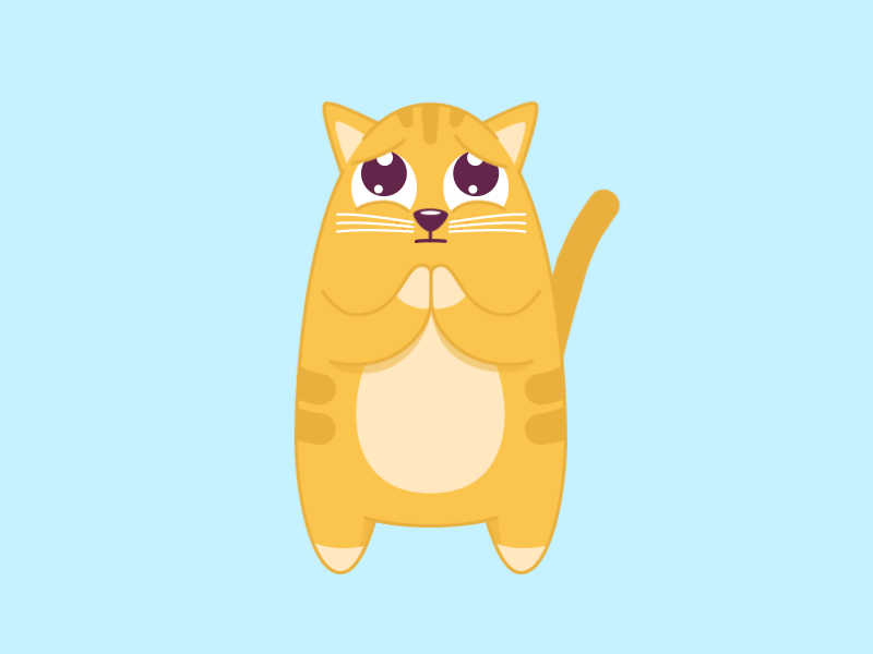 Cat Grooming Bathing, Brushing, Nail Clipping & more