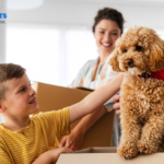 How Much Does Pet Relocation Cost