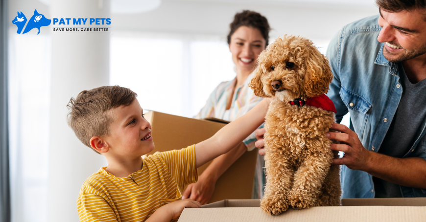 How Much Does Pet Relocation Cost