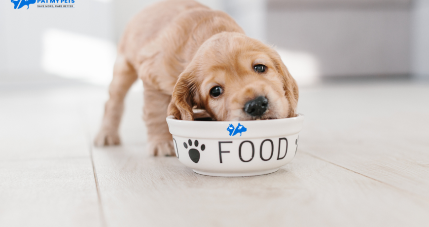 dog food healthy dies