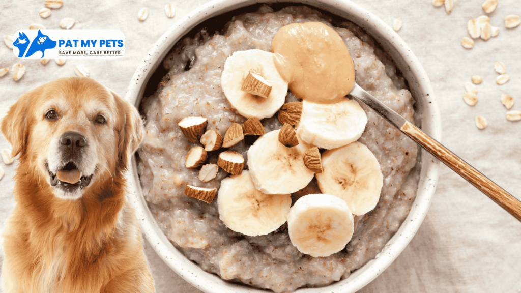 Homemade Vegetarian Indian Food For Dogs and Its recipes 4 Banana Peanut Butter Treat