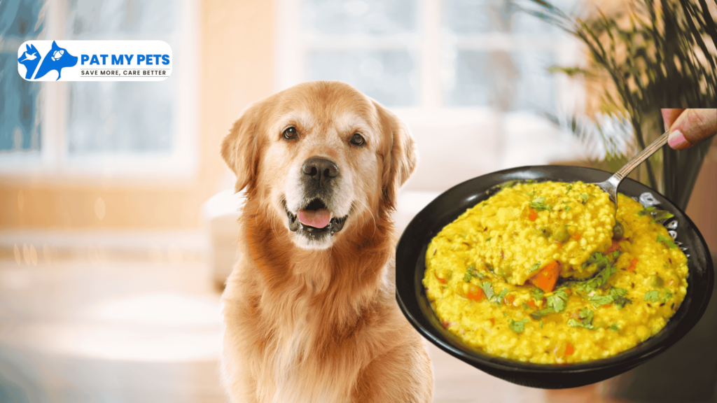 Homemade Vegetarian Indian Food For Dogs and Its recipes 5 Home made Khichdi for dogs