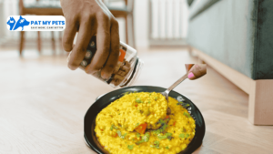 Pet Grooming at Home in Hyderabad 13 Home made dog foods