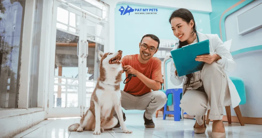 The 6 Most Common Dog Health Issues (And What to Watch For) 1 The 6 Most Common Dog Health Issues And What to Watch For